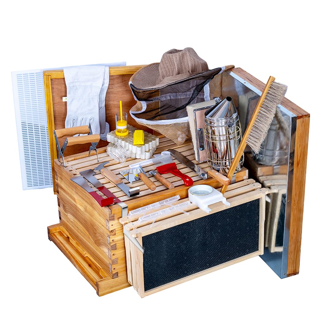 Beehive 8Frame Bee Boxes Frame - Beehive Frame Wax 评论和价格